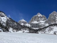 �b�f�i�@���i��